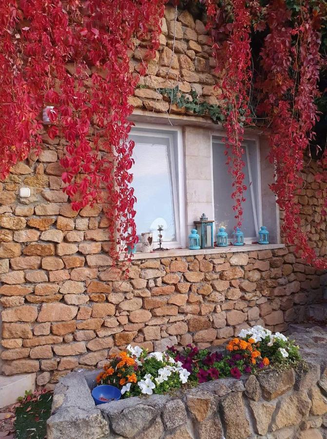 Best View Small House Free Parking Self Check-In Будапеща Екстериор снимка